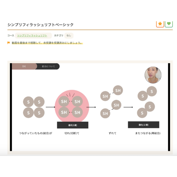 Simplify BASIC | シンプリフィ ラッシュリフト基礎知識オンライン講習&テキスト(追加購入)